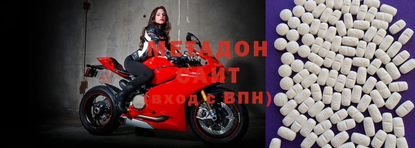 прущие грибы Новодвинск