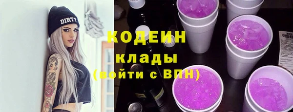 прущие грибы Новодвинск