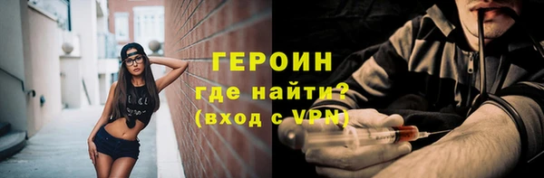 прущие грибы Новодвинск
