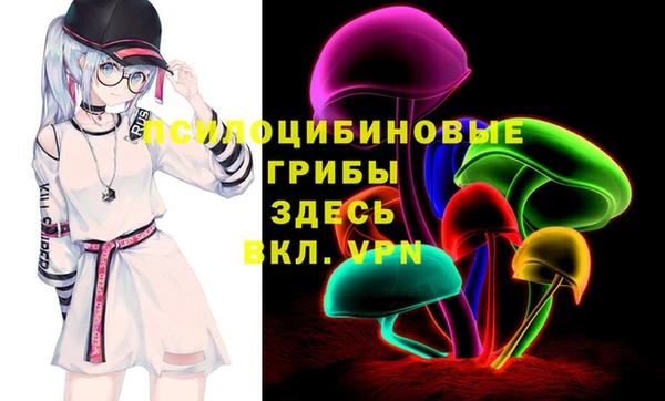 PSILOCYBIN Верея